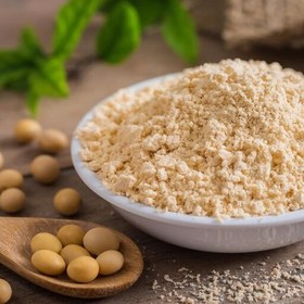 پودر پروتئین ایزوله سویا فودنیک